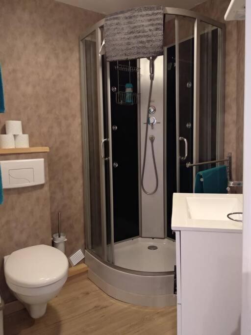 Appartement Centre Ville Rose Τουλούζη Εξωτερικό φωτογραφία