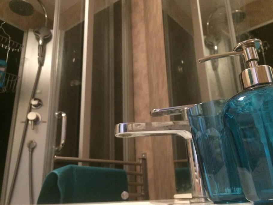 Appartement Centre Ville Rose Τουλούζη Εξωτερικό φωτογραφία