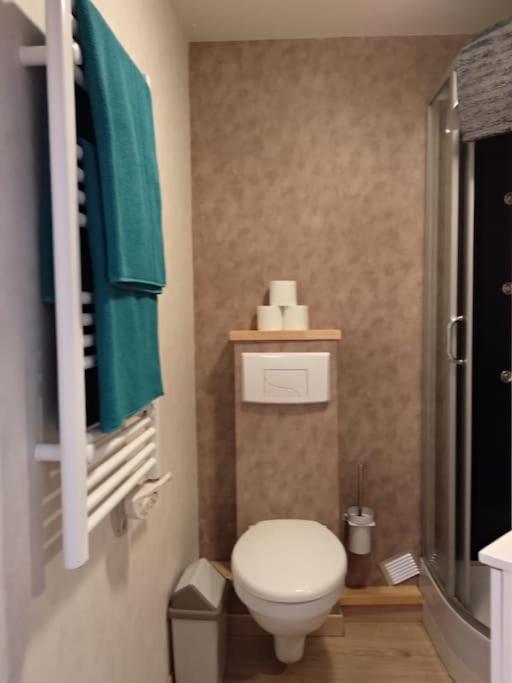 Appartement Centre Ville Rose Τουλούζη Εξωτερικό φωτογραφία